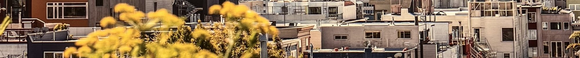 photo - SF